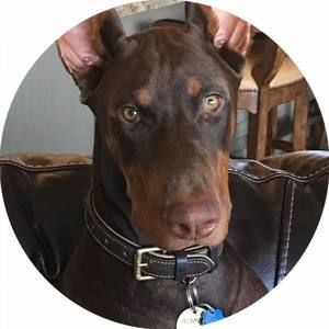 Meet your Posher, Susan